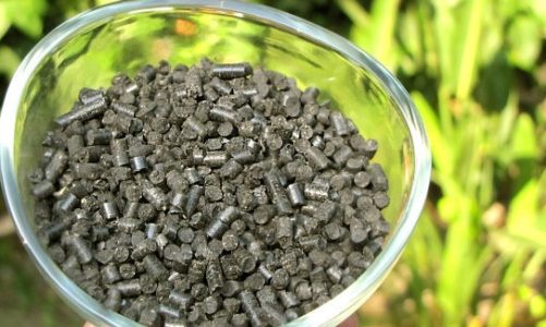 Le biochar, un nouvel or noir pour les industriels de la décarbonation?